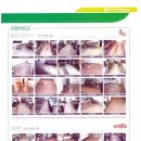 제이앤제이코퍼레이션
