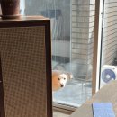 메이플육공사 이미지