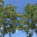 한강시민공원 화장실 앞 이미지