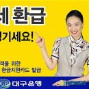 단디카써비스 이미지