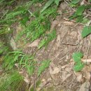 군위장곡자연휴양림 이미지