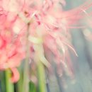 꿈속에서 이미지