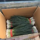 마디마디힘찬한의원 이미지