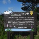 수산리-19 Daum카페