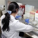 대한식육센터 이미지