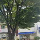 희망로534번길 이미지