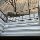 관악-현장-관악-06-13 | 관악구 거주청소 후기｜라스트클린 꼼꼼한 입주 전 청소 다녀왔어요