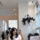 아미블헤어