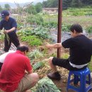 선기농장 이미지