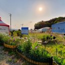 강진도깨비농장 이미지