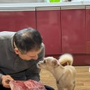 담백한 앞산 본점 이미지