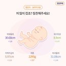 [임신 33주~36주] 출산휴가 시작&amp;만삭의 12월 일기