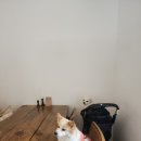 첨단중앙로67번길 이미지