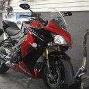 알파모터스 이미지