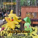 (주)에이븐게임 | 서울숲 포켓몬 예약 성공 후기｜포레스트 위치 굿즈 웨이팅 시간 기간 총정리
