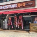 키티도기