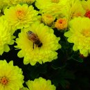 신동1통 마을회관 이미지