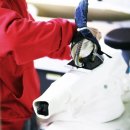 세탁크린 이미지