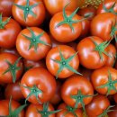 굿모닝 팜 이미지