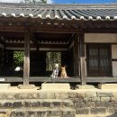 하나애견 | 하동 애견동반 여행코스 최참판댁 볼거리가 많아서 추천