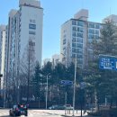 평촌초등학교 옆 | 평촌역 향촌롯데 아파트 임장을 가다!