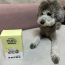 촵촵