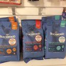 위대한캣츠빌 이미지