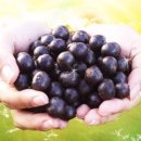 여리약국 이미지