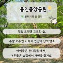 참나무공원 화장실 | 용인 숲길 산책 용인중앙공원에서 천천히 걷기
