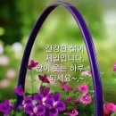 띠별 오늘의 운세 이미지