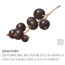 바니제과 이미지