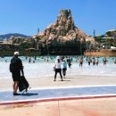 제1능이 버섯전문점 이미지