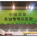 강호보이차 네이버블로그