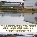 은파낚시