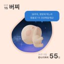 피러그타임 | 베이지 | 임산부 훠궈 | 30주 배크기 | 배불뚝이의 일상 | 임신30주 몸무게 | 임산부 임신 후기 영양제