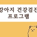 내과동물병원 루미나 이미지