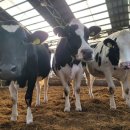 대상농장 이미지