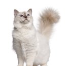 닥터멍동물병원 이미지