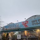 안양의왕화훼단지 봄맞이 식물 한아름꽃