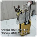 제주멍냥밥상 | 대한항공 반려견 좌석 구매 제주멍냥밥상 / 김만복김밥&amp;회포장