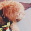 베리떼 동물병원 이미지