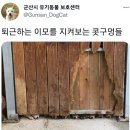 유기동물 보호센터에서 퇴근할 때 보는 모습 이미지