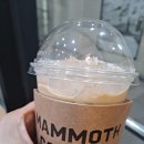 매머드커피 이미지