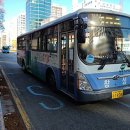 2020-주134 네이버블로그