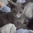 너무 밀려버린 일상글 + 영화 군체 솔직 후기
