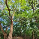 송탄근린공원 이미지