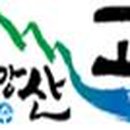 배미천 이미지