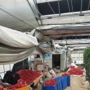 진형농장 이미지