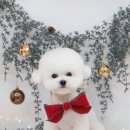 그루미재이 이미지