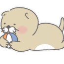 맑은서울의원 이미지